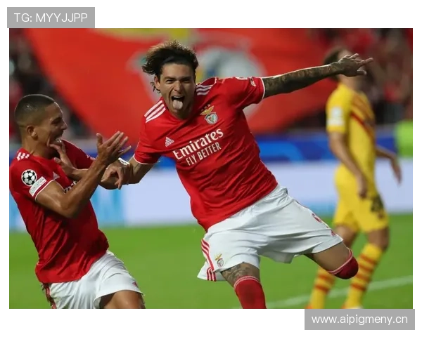 努涅斯转会费解析:市场溢价评估